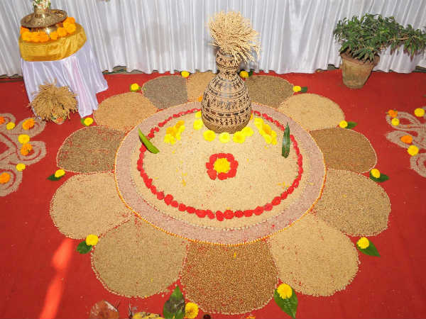 ಇದು ಮೊಳಕೆ ಅಕ್ಕಿ 