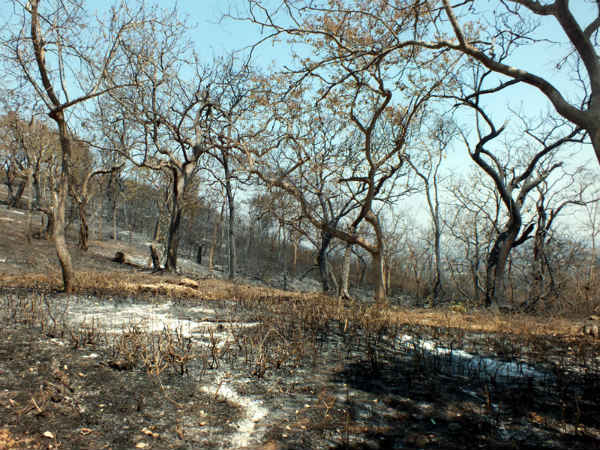  ಪೊಲೀಸ್ ಇಲಾಖೆಗೆ ದೂರು