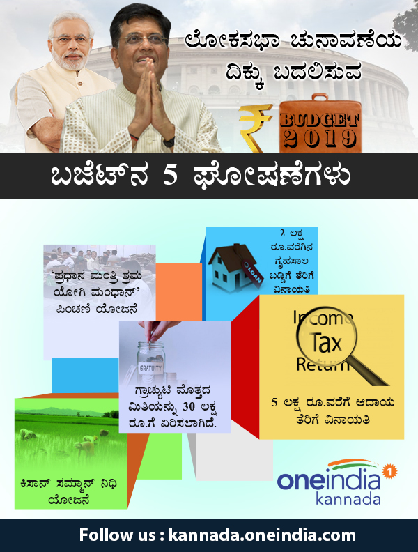 Interim Union budget 2019: 5 announcements may affect Lok Sabha elections 2019