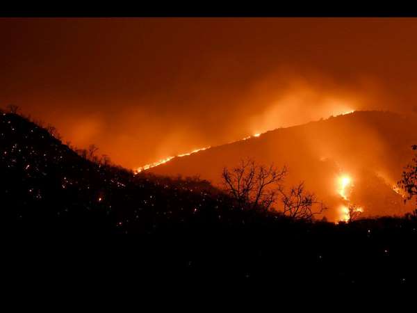  ಸಾವಿರಾರು ಎಕರೆ ಕಾಡು ನಾಶ