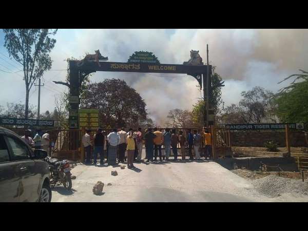 ಕಾಡ್ಗಿಚ್ಚನ್ನು ತಡೆಯಲು ಸಂಪೂರ್ಣ ವಿಫಲ