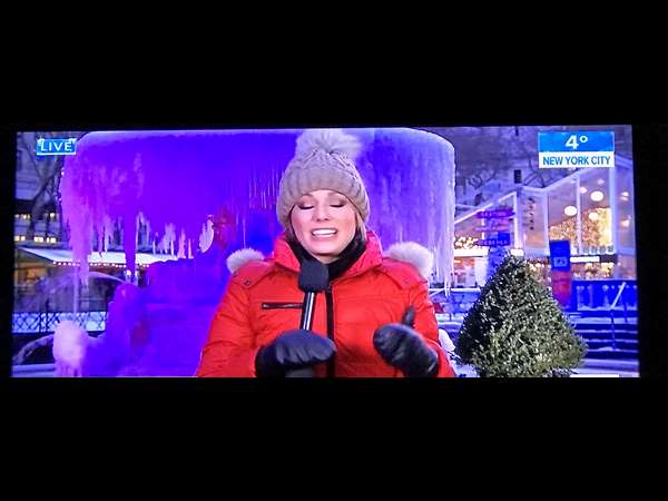 Cold wave disrupts normal life in America