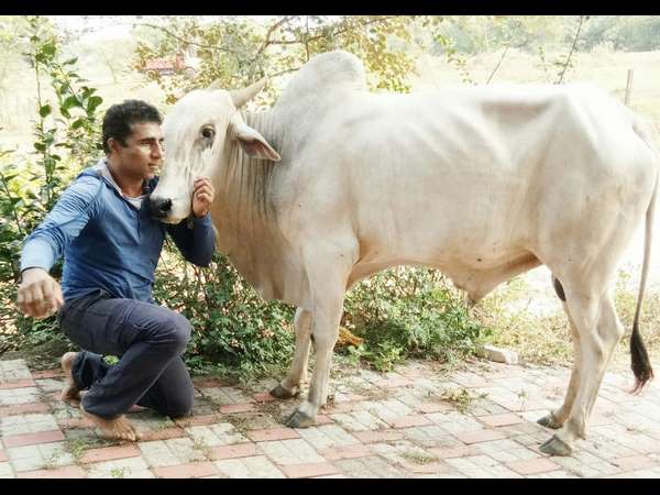 ಲಾಭದ ಲೆಕ್ಕಾಚಾರ ಹಾಕುವುದಿಲ್ಲ 