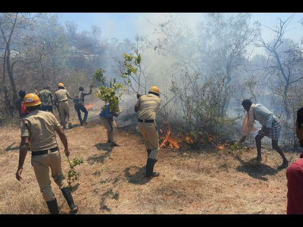 Fire at Chamundi hills in Mysuru 