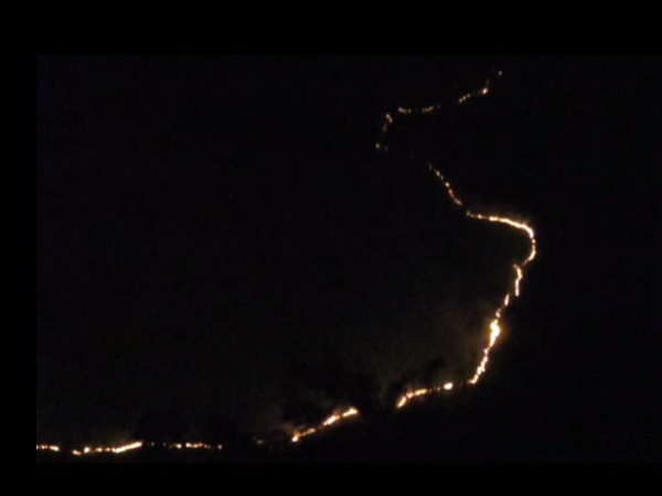 Forest fire increased at Chikmagalur