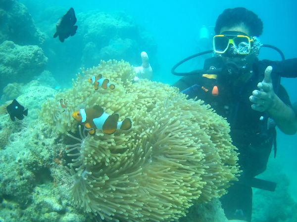ಸಮುದ್ರ ಹಾಸಿಗೆ ಒಂದು ರಂಗಮಂದಿರ
