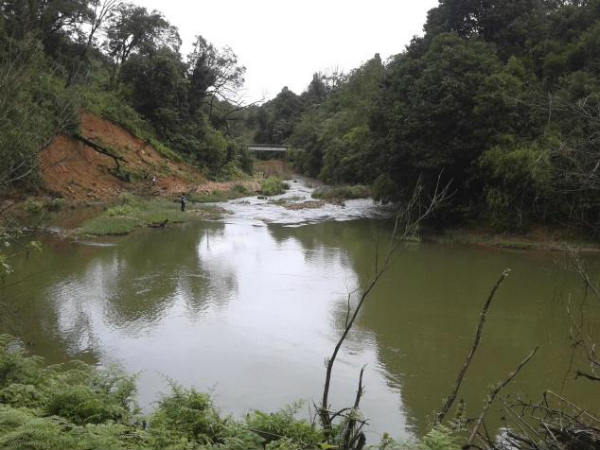 ಎತ್ತಿನ ಹೊಳೆಯ ಹುಸಿ ಕನಸು