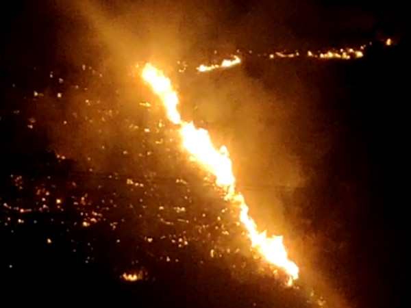 Fire in Bandipur again appeared Fire in Bandipur again appeared