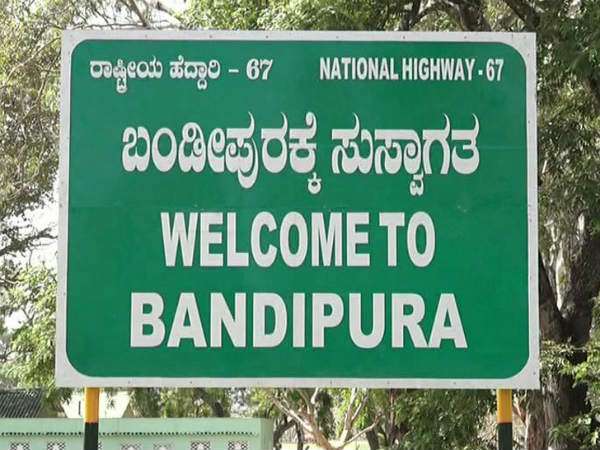  ಸಫಾರಿ ಇಂದಿನಿಂದ ಪುನರಾರಂಭ 