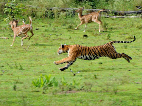  ಇದು ಶುದ್ಧ ವಂಚನೆ 