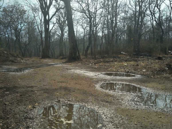  ಮರಣೋತ್ತರ ಪರೀಕ್ಷೆಯ ವರದಿ ಬಂದಿಲ್ಲ 