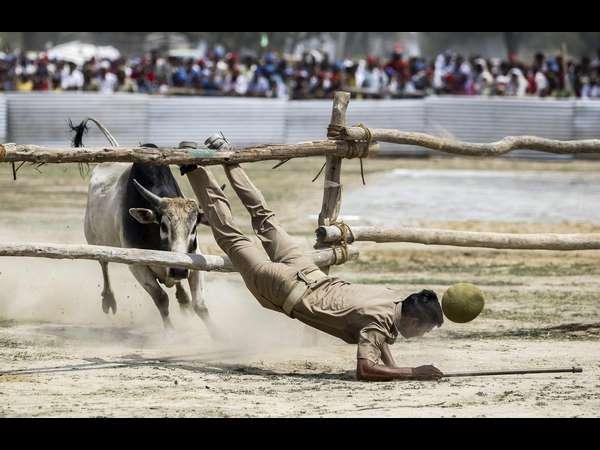 ಮನುಷ್ಯರಿಗೊಂದು ನ್ಯಾಯ, ಪ್ರಾಣಿಗಳಿಗೊಂದು ನ್ಯಾಯ
