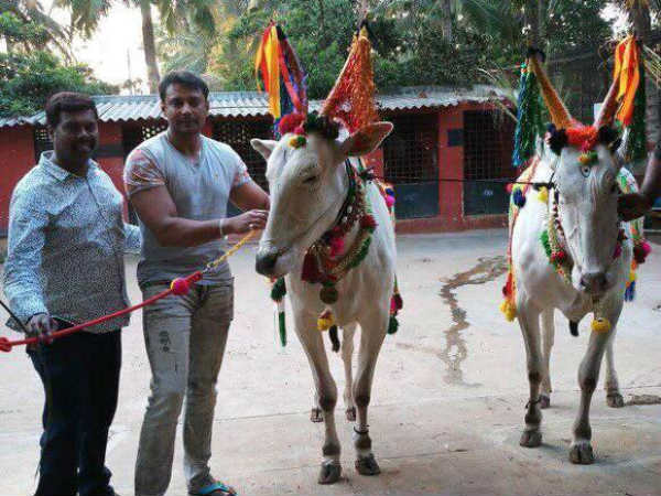 ದರ್ಶನ್ ರೈತನಲ್ಲವೆಂದ ಕುಮಾರಸ್ವಾಮಿಗೆ ಸವಾಲು ಹಾಕಿದ್ದರು