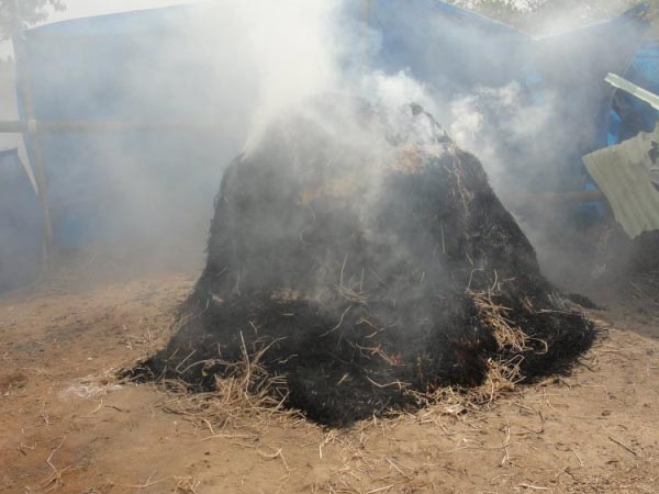 Even Ash has important role in our life