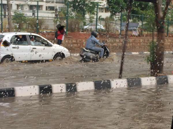 ಎಲ್ಲಾ ಒಳಚರಂಡಿಗಳಲ್ಲಿ ಪ್ಲಾಸ್ಟಿಕ್, ಥರ್ಮಾಕೋಲ್ 