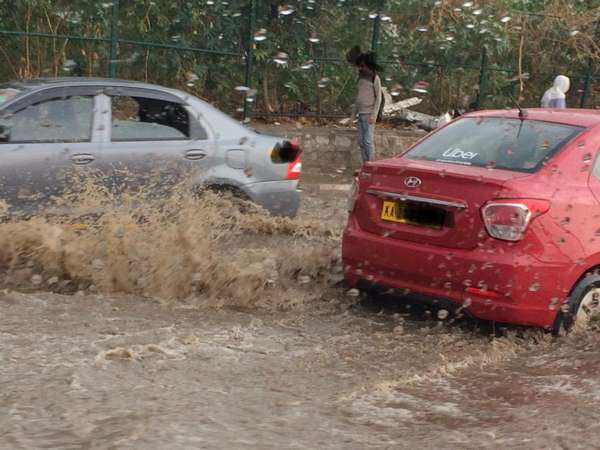  ಮರಗಳ ಒಣಗಿದ ರೆಂಬೆಗಳನ್ನು ಇನ್ನೂ ಕತ್ತರಿಸಿಲ್ಲ 