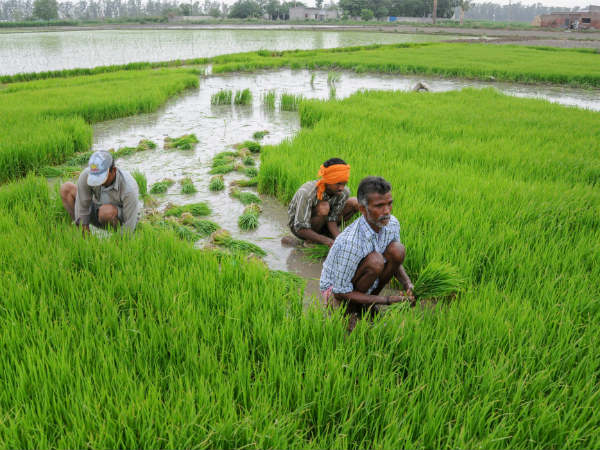 ದೇಶದೆಲ್ಲೆಡೆ ಗೋದಾಮು 