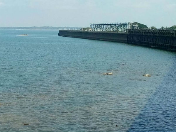 ಜಲಾಶಯದಲ್ಲಿ ಸದ್ಯಕ್ಕೆ 91.68 ಅಡಿಯಷ್ಟು ನೀರಿದೆ 