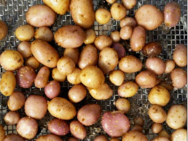 ಮೊದಲು ಕೇಸ್ ವಾಪಸ್ ತೆಗೆದುಕೊಳ್ಳಿ 