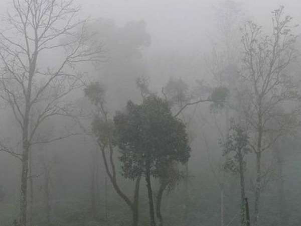  ಮುಂದುವರೆದ ಕೂಂಬಿಂಗ್ ಕಾರ್ಯಾಚರಣೆ 