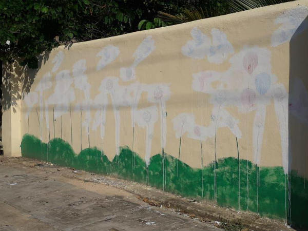 ಎನ್‌ಜಿಓ ಬಣ್ಣ ಬಳಿಸಿತ್ತು