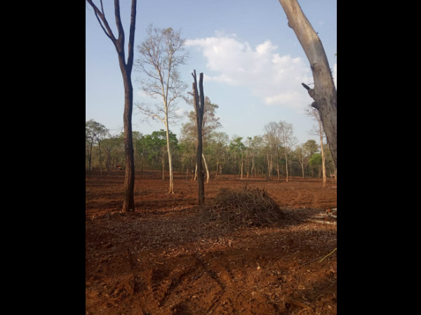 ಡೀಮ್ಡ್ ಅರಣ್ಯ-ಗೋಮಾಳ ಅರಣ್ಯ ನಾಶ