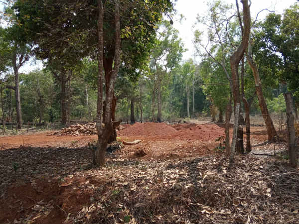 ಮರಗಳ ನಾಶ ಎಲ್ಲೆಲ್ಲಿ? 