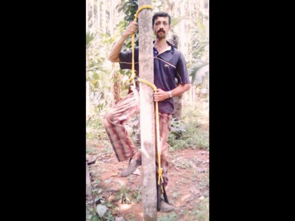 ಈ ಪ್ರಯತ್ನ ನಡೆಸಿದ್ದು ಹೀಗೆ ...