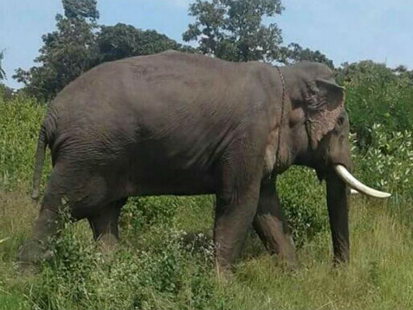 ವೈದ್ಯರಿಗೂ ಬೇಕು ಸೌಲಭ್ಯ 