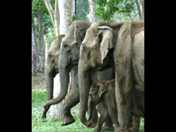  ವೈದ್ಯರಿಗೆ ಬೇಡಿಕೆ ಹೆಚ್ಚು 