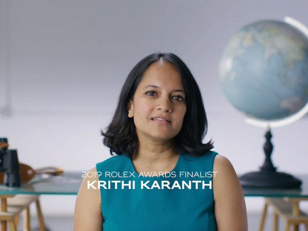 ವೈಲ್ಡ್ ಸೇವೆ ಕುರಿತು