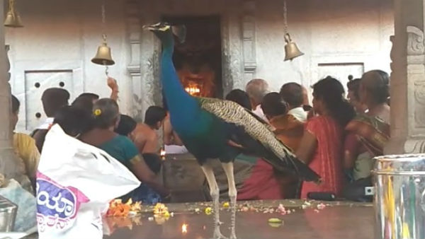 Surprise incident happened in Anantha Padmanabha Subranamya temple 