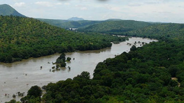 ಆದೇಶದಲ್ಲಿ ಏನಿದೆ ಷರತ್ತು?