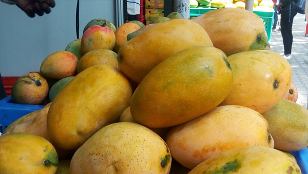 ಮೆಟ್ರೋ ನಿಲ್ದಾಣಗಳಲ್ಲೂ ಮಾವು ಲಭ್ಯ 