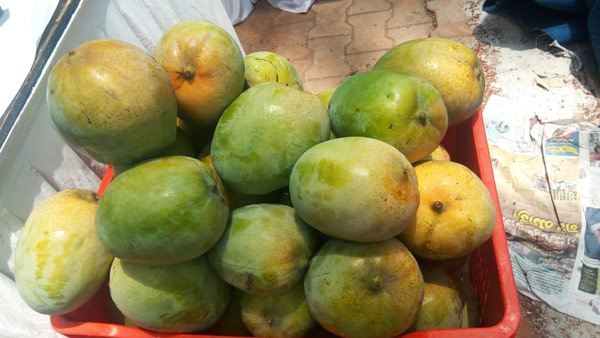 ಆನ್‌ಲೈನ್‌ನಲ್ಲಿ ಕೂಡ ಮಾವುಗಳು ಲಭ್ಯ 