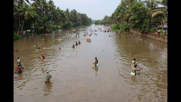 ನದಿಗೆ ಪ್ರಸಾದ ಹಾಕುವ ಮೂಲಕ ಚಾಲನೆ 