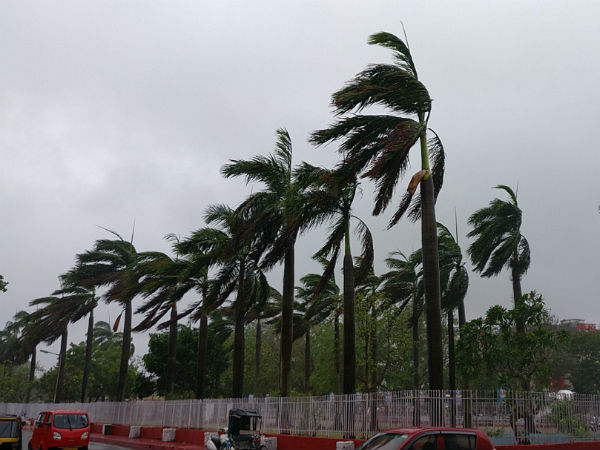 ಮಮತಾ ಬ್ಯಾನರ್ಜಿ ಪ್ರಚಾರ ಸಭೆಗಳು ರದ್ದು 