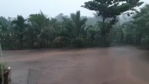 Dakshina Kannada district recieved some rain