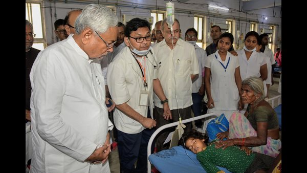 ಪ್ರಯೋಗಾಲಯಕ್ಕೆ ಲಿಚಿ ಹಣ್ಣುಗಳು!