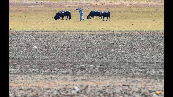 ಮನೆಯಿಂದಲೇ ಕೆಲಸ ಮಾಡಿ 