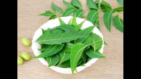 ಡೆಂಗ್ಯೂ ತಡೆಗಟ್ಟುವ ಕ್ರಮಗಳು 