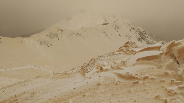 ಬಿಸಿಲಿನ ತೀವ್ರತೆಯಿಂದ ಸಾವು 