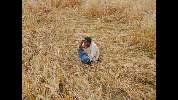 26.5 ಕೋಟಿ ರೈತರಿಗೆ ಅನುಕೂಲ 26.5 ಕೋಟಿ ರೈತರಿಗೆ ಅನುಕೂಲ