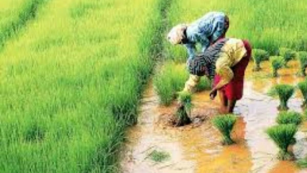 ಜೂನ್ 14ರಂದು ಬ್ಯಾಂಕರ್‌ಗಳ ಸಭೆ 