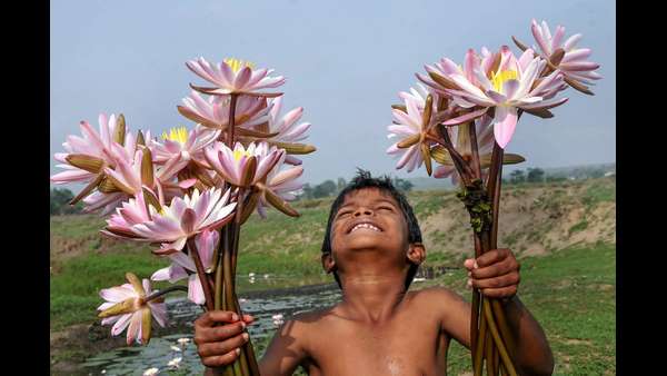 ಸ್ಥಳೀಯ ದೇವಸ್ಥಾನಗಳಿಗೆ ಕಮಲ ಪೂರೈಸುವ ಮುಸ್ಲೀಮರು ಸ್ಥಳೀಯ ದೇವಸ್ಥಾನಗಳಿಗೆ ಕಮಲ ಪೂರೈಸುವ ಮುಸ್ಲೀಮರು