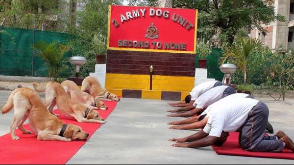 ರಾಹುಲ್ ಟ್ವೀಟ್‌ಗೆ ಭಾರಿ ವಿರೋಧ