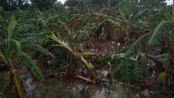  heavy rain in chitradurga district