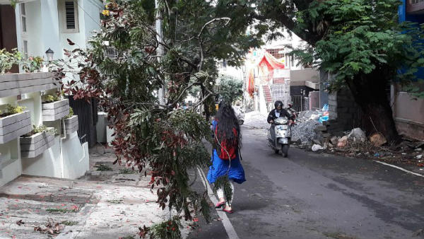  ಇನ್ನು ಯಾವ್ಯಾವ ಜಿಲ್ಲೆಯಲ್ಲಿ ಮಳೆಯಾಗಿದೆ?