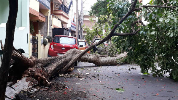 ರಾತ್ರಿ 1 ಗಂಟೆಗೆ ದೂರು ನೀಡಿದರೂ ಸ್ಪಂದಿಸಿದ ಬೆಸ್ಕಾಂ 