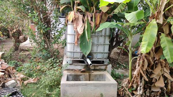 Dr Shripathi honored with environment awards by Shivamogga DC 